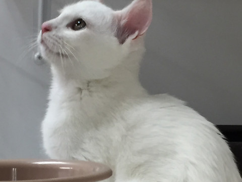 a8780d2095e8405609a0d5e4cd68d73e