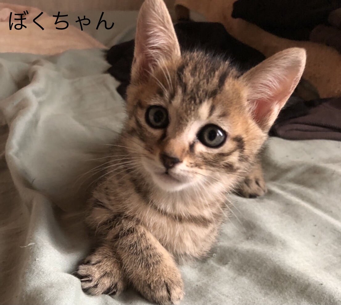 1600FEB2-358F-4C26-8296-E5F4E224D83C