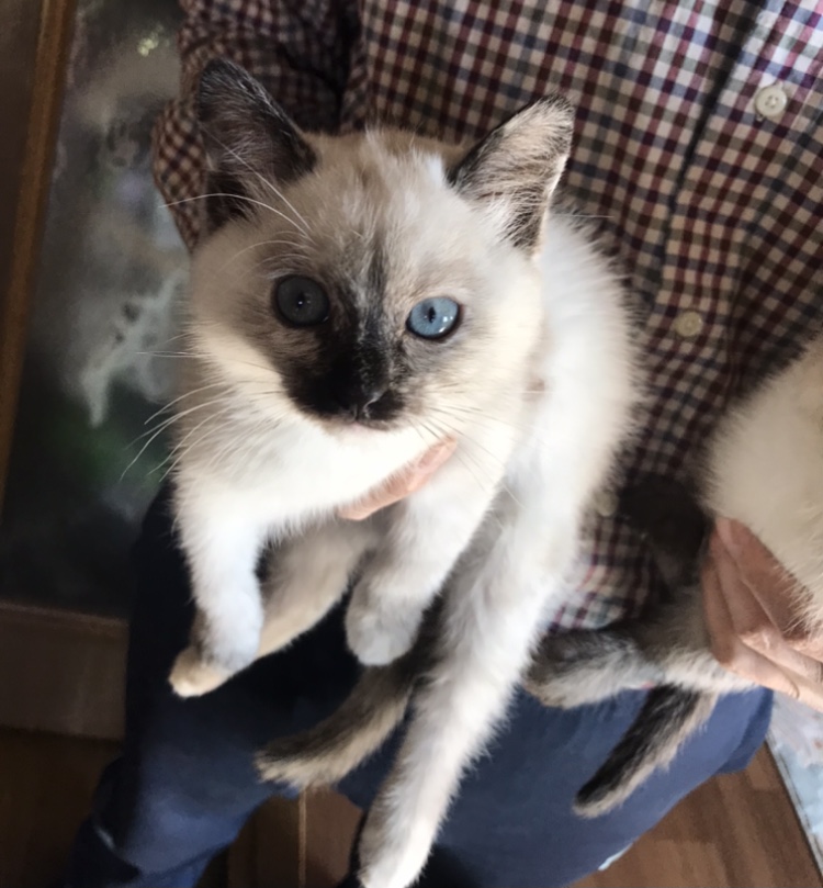 1FBDAE75-B419-4E0A-803F-30AE4F85F462