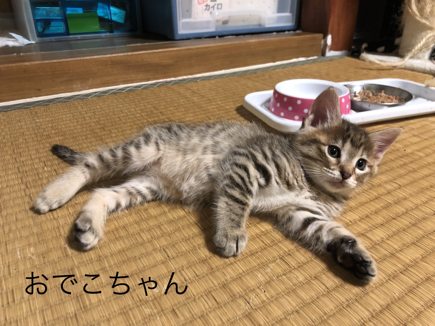 63996FDC-3B81-4DCF-8576-7343AB970C62