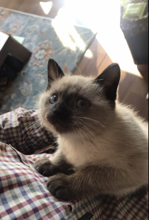 98987AA2-70C1-4A51-92FD-FD7D2B3A2B4C