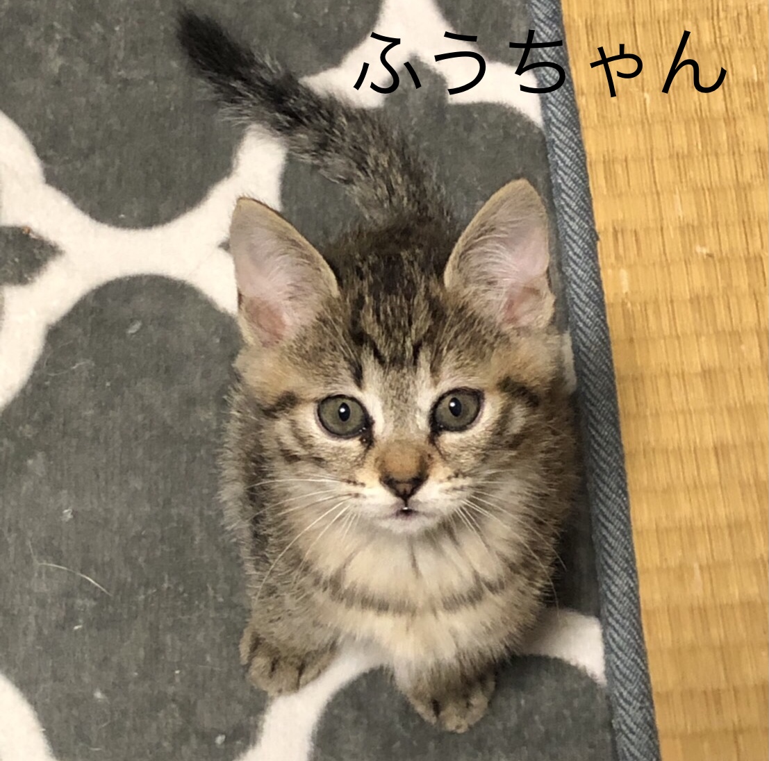 9F598EC3-C87B-4AC3-B1CB-505A6D9F8FC3