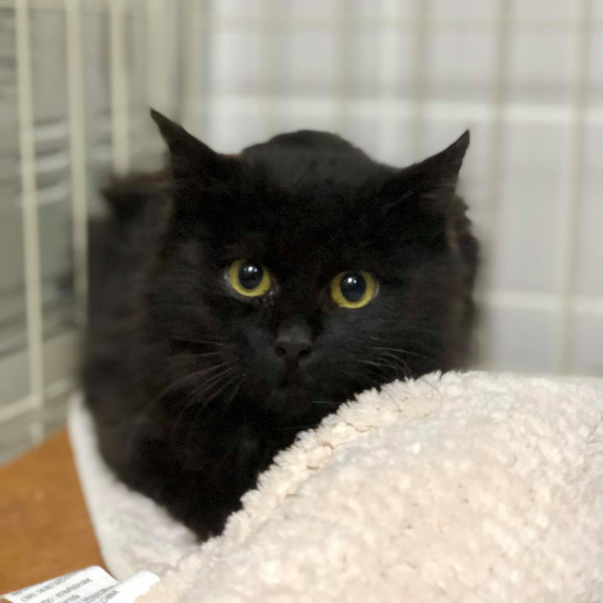 127863469_10224641896900542_7506863163061824452_o