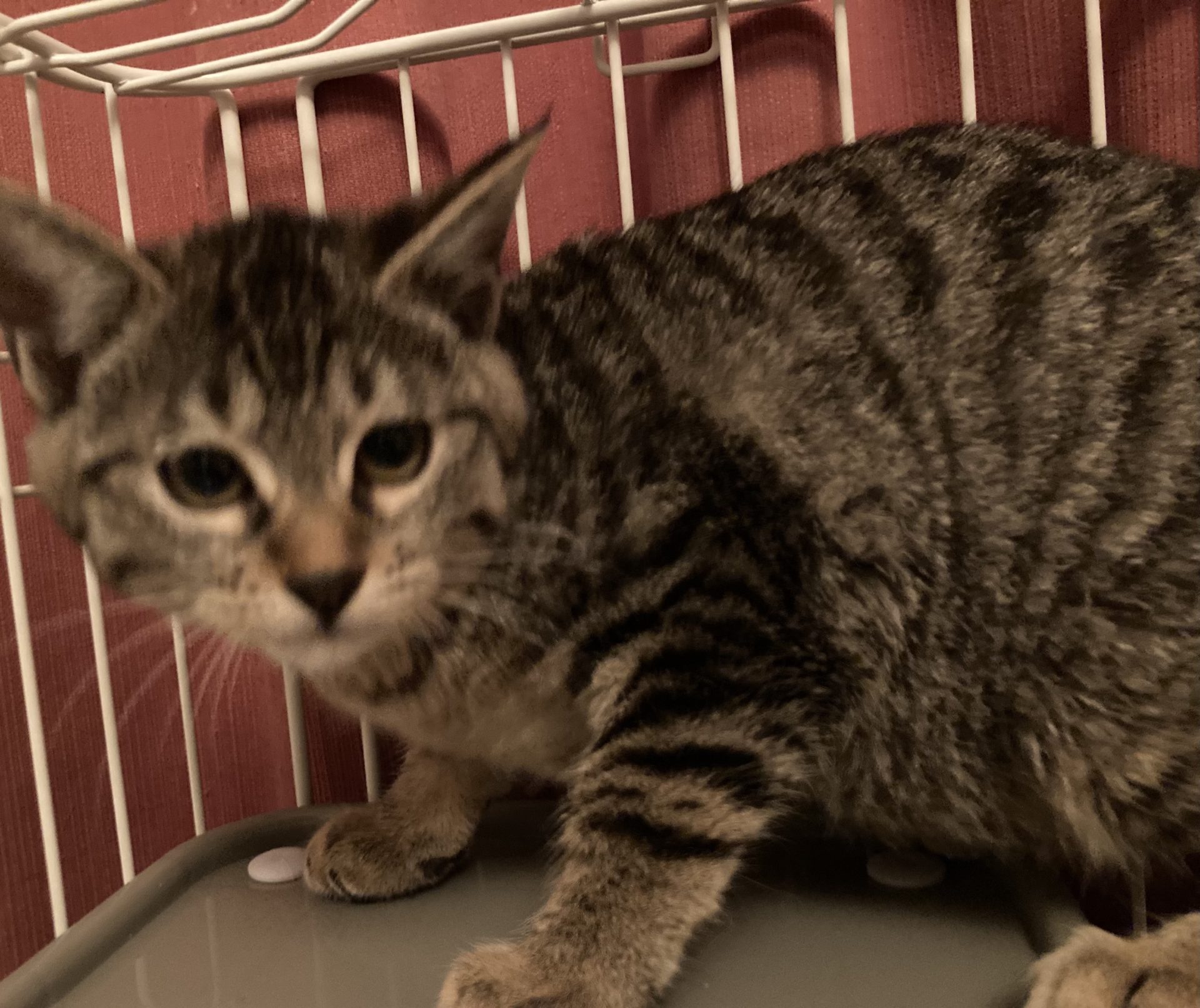 3E7428F2-30B2-43B4-8396-637564A219A1