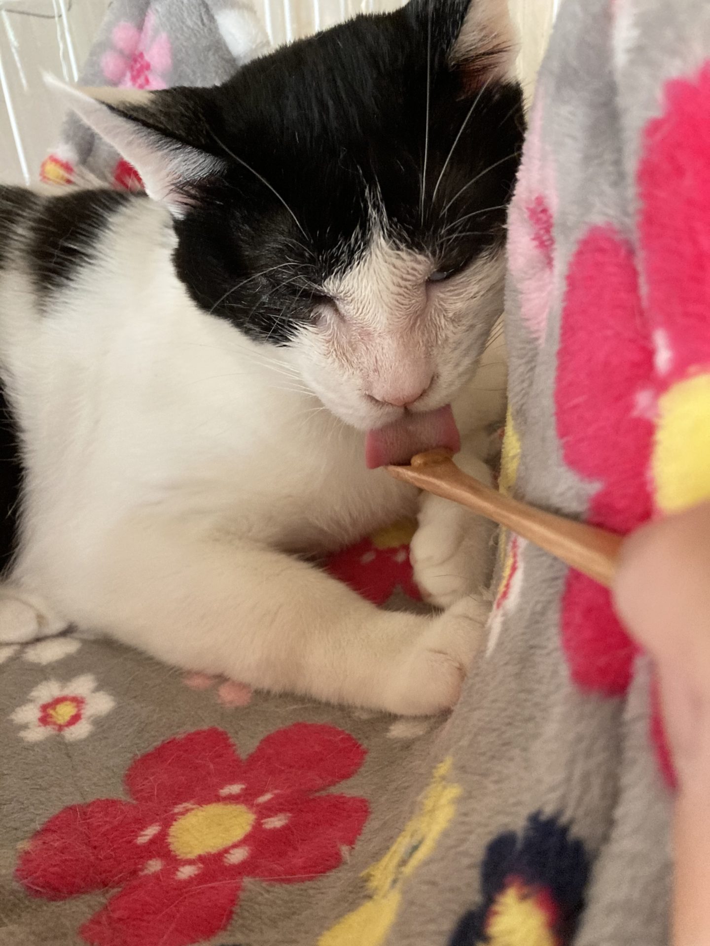 54982554-5F1A-4BD8-A272-5D35D3E42749