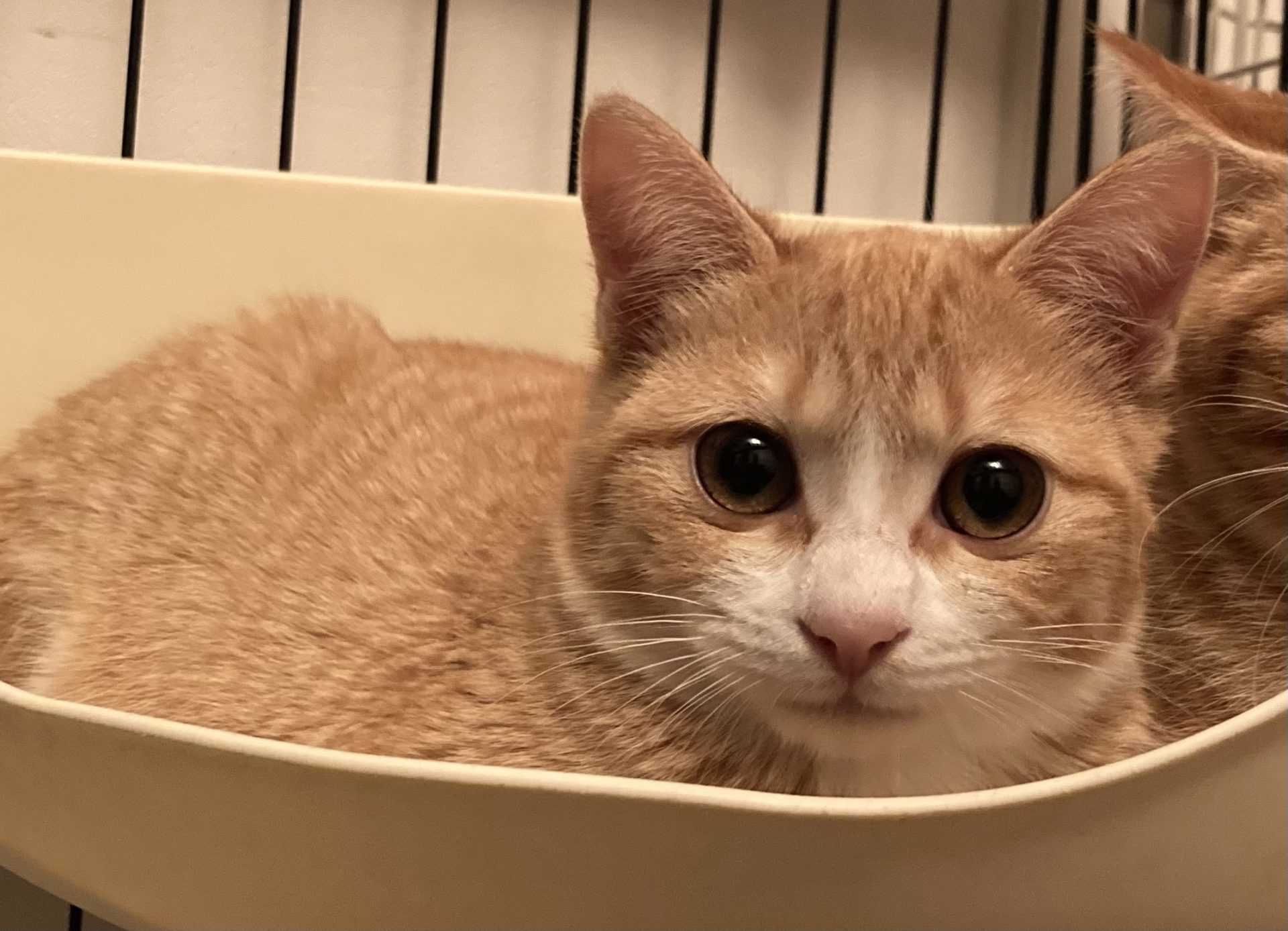 558C0E67-DBD3-4536-921C-238A5C6ADD6C