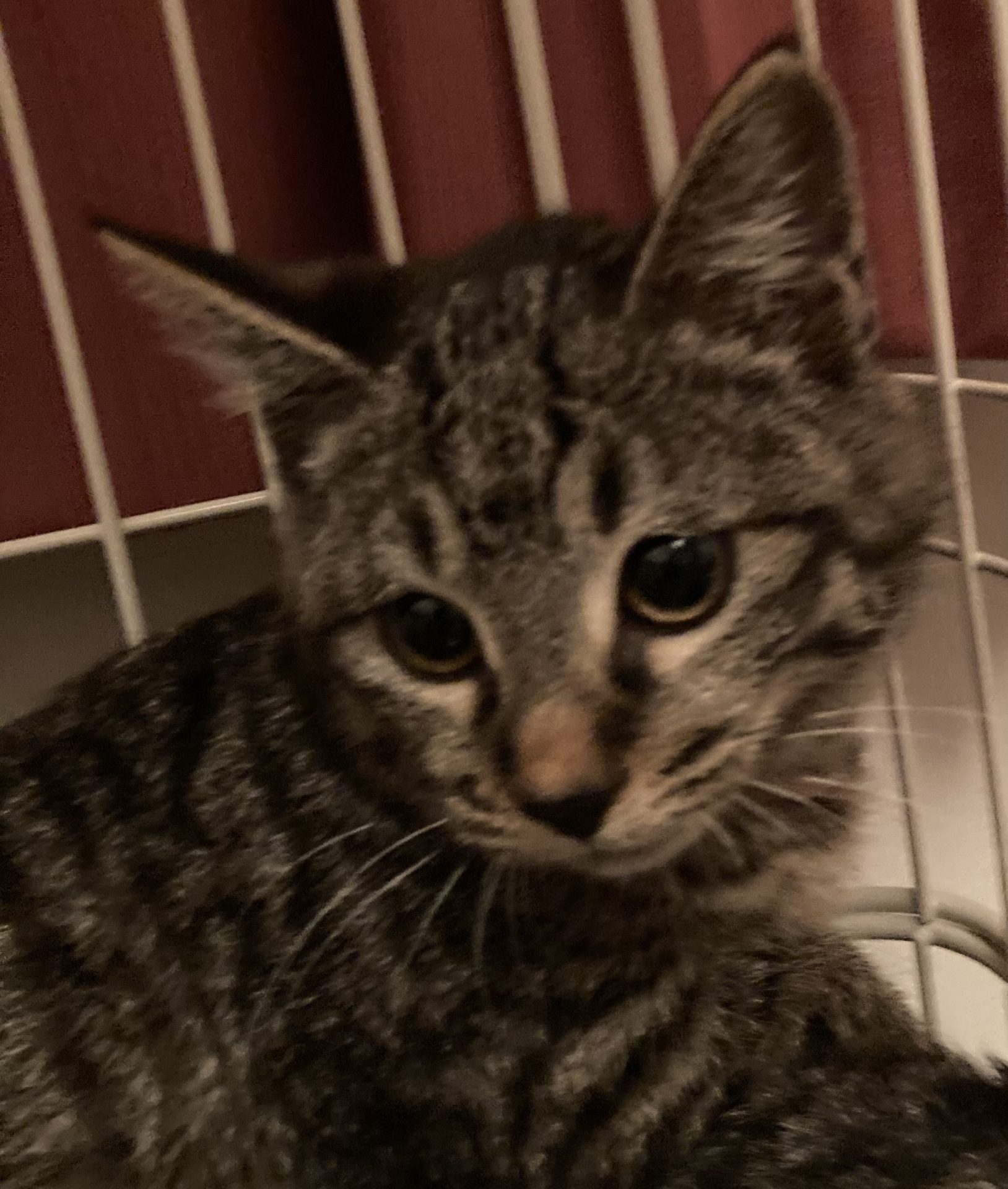 849DE8A1-239A-4CD8-A2C2-E77DC545CC8B