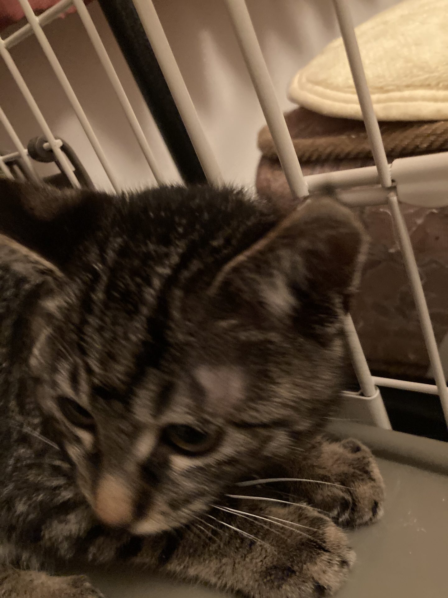 AEB48179-F2E2-423B-9315-BC1FF001E6AF