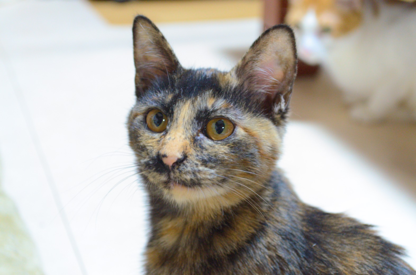 DF2EF811-6DA0-42FF-9565-ED324B9B62D4