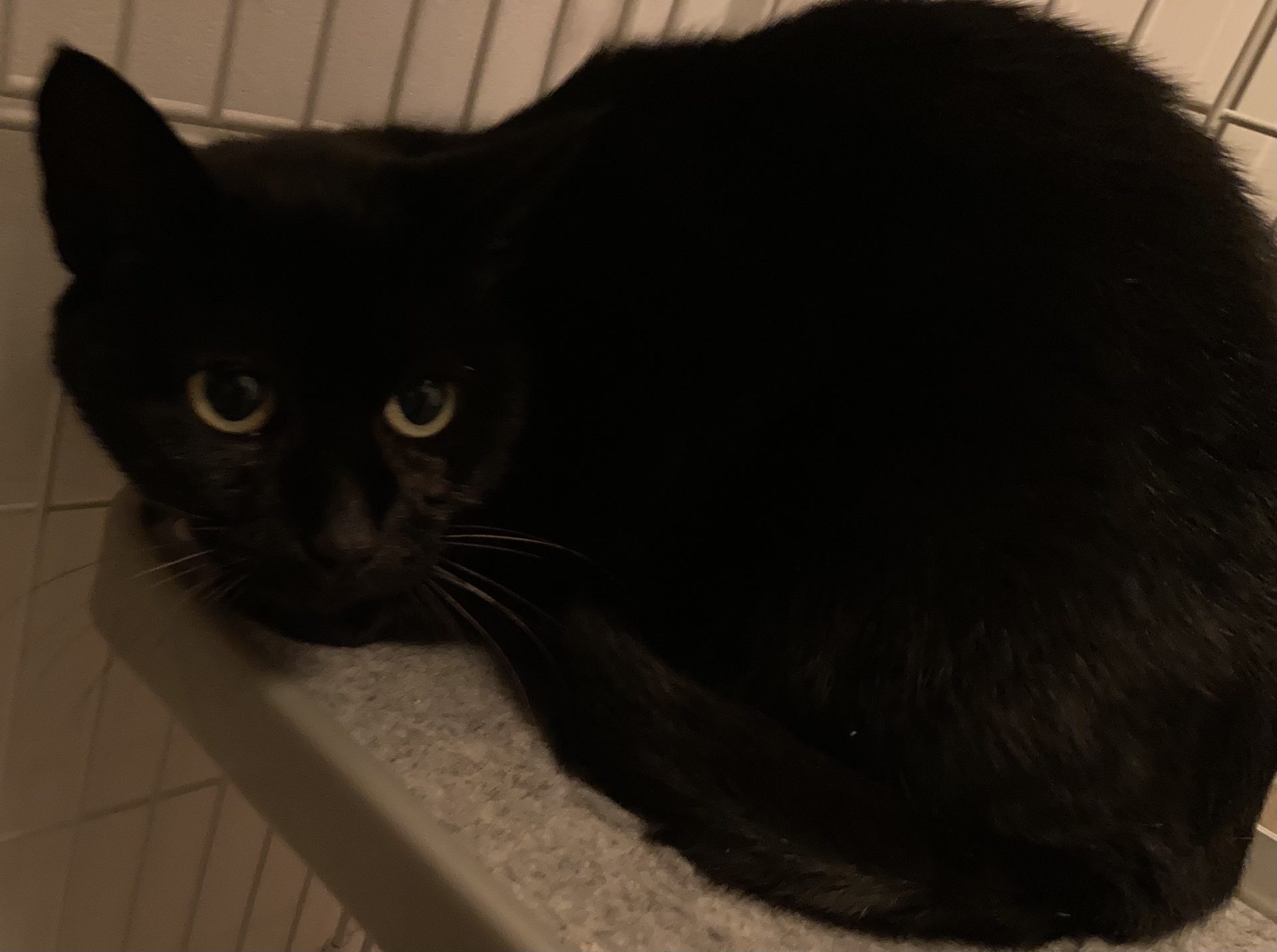 E7BA8567-7DB2-4E26-85AD-5CC855E3965B