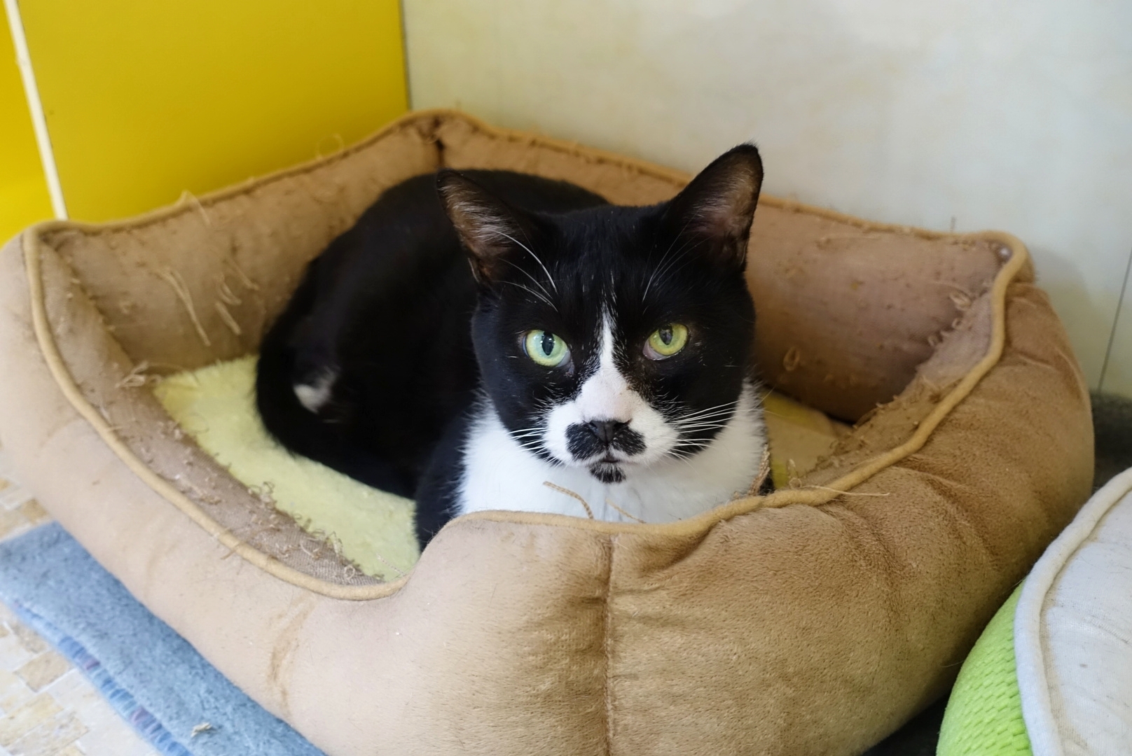 MYXJ_20201128132054373_save