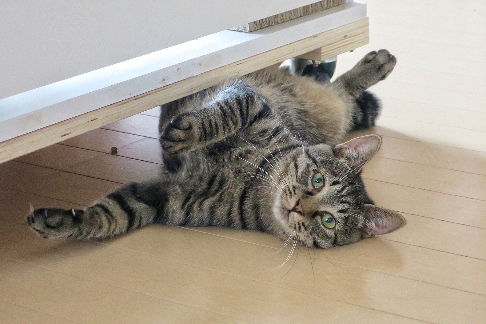 MYXJ_20201128140547069_save