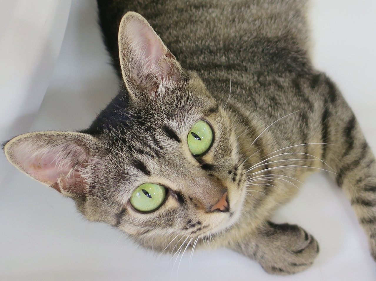 MYXJ_20201128191325954_save