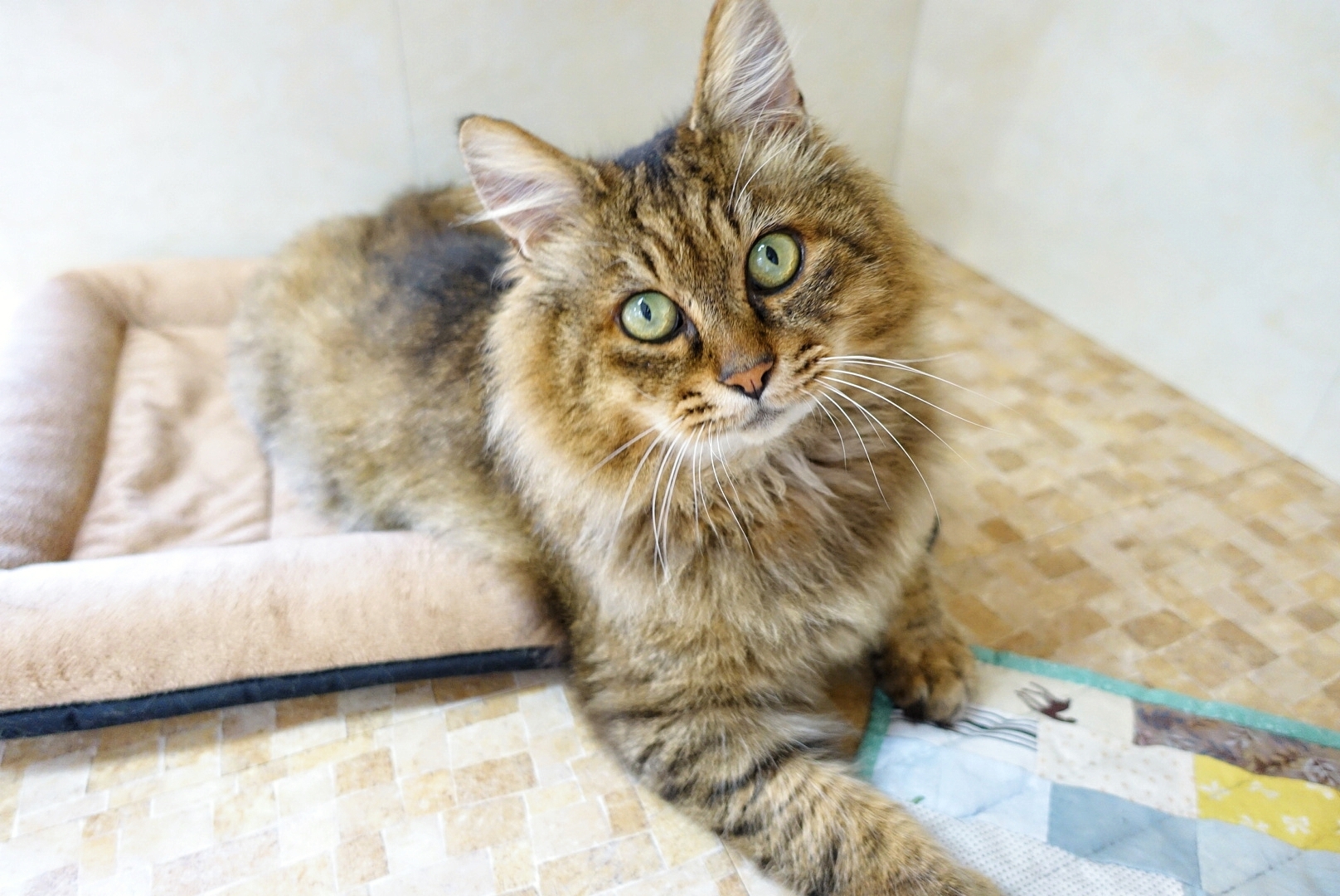 MYXJ_20201207192355435_save