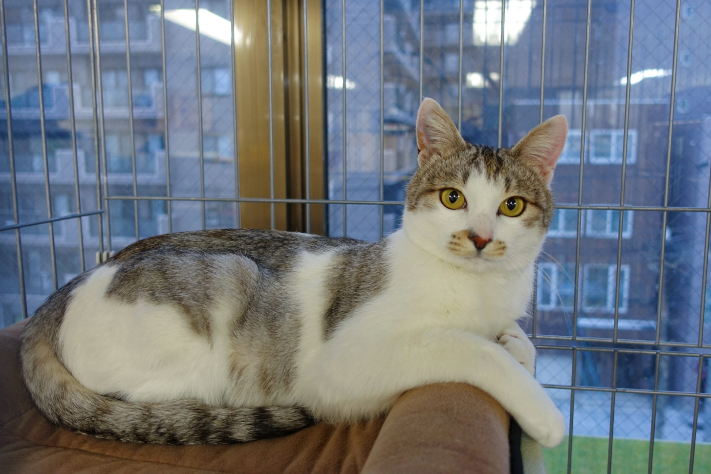 MYXJ_20201218203216477_save