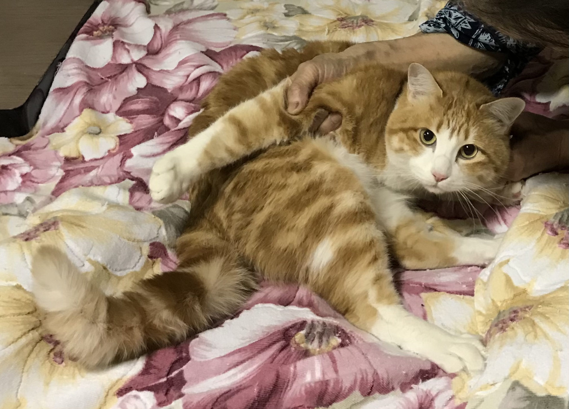 7557E908-ED23-419D-9B62-C510BBD3F8AD