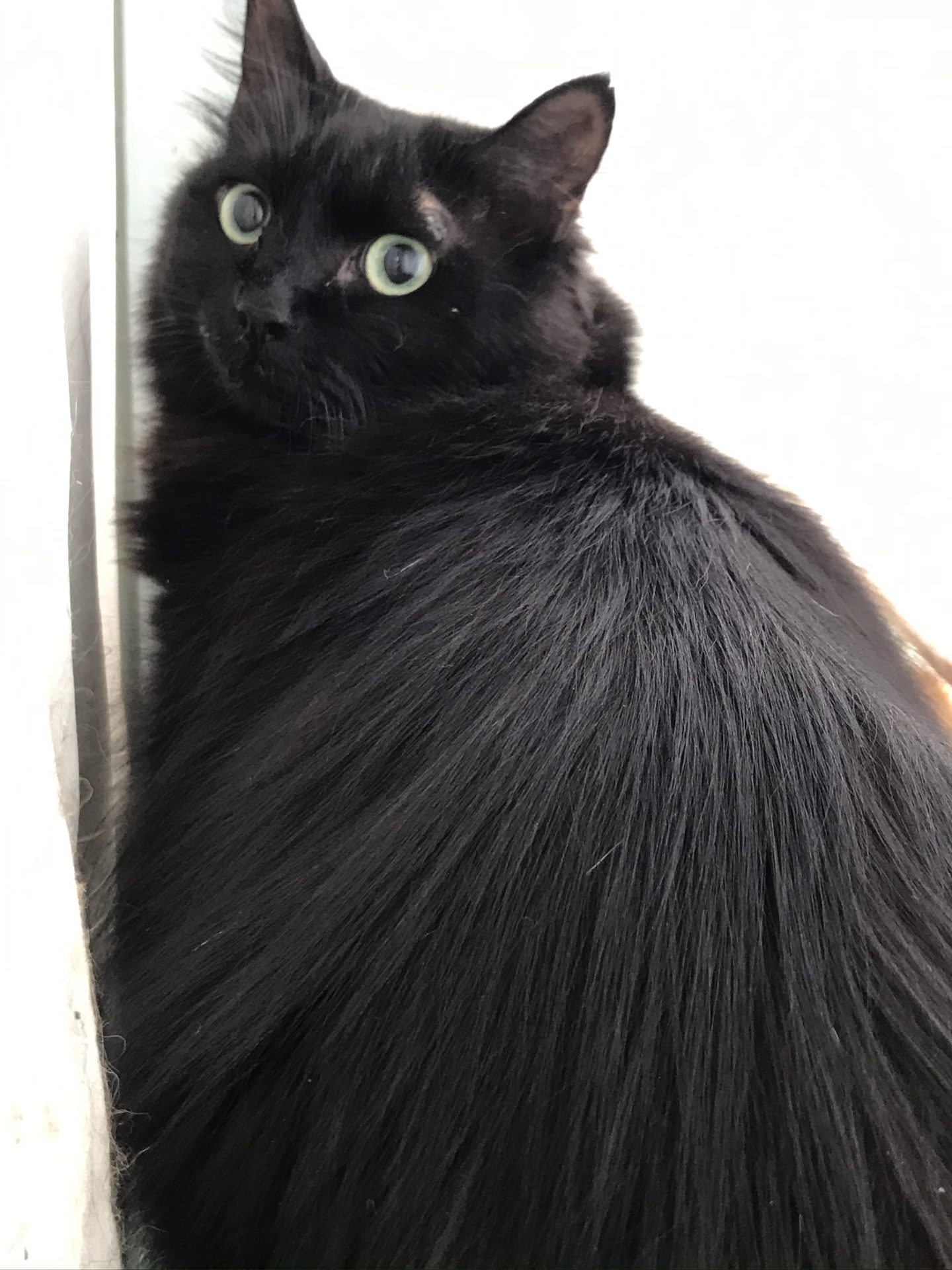 BD3B2611-37B0-4032-AC44-00B78DD69F09