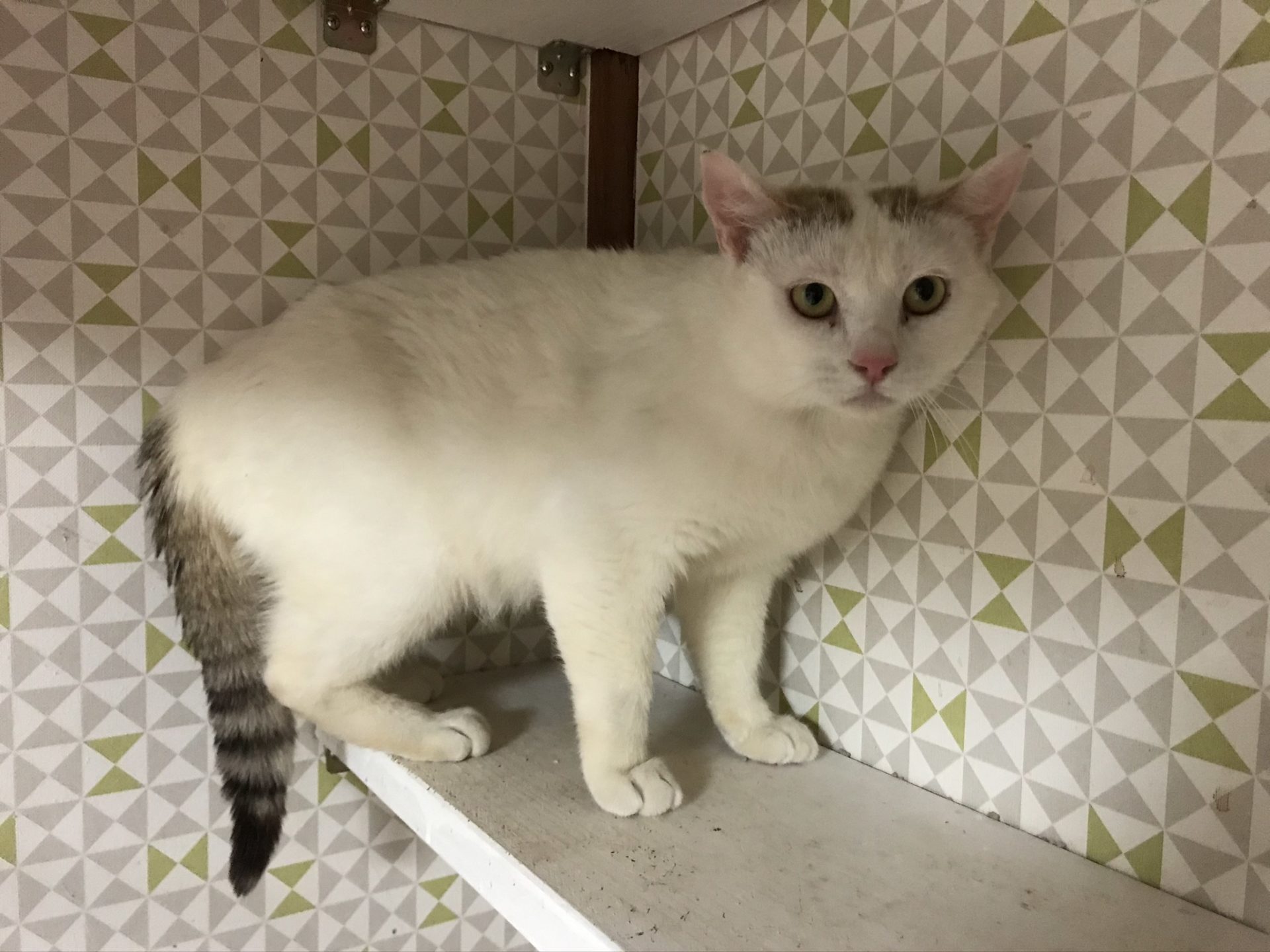 E8375AAA-1C79-45B1-A2D4-EA6F78BB234F