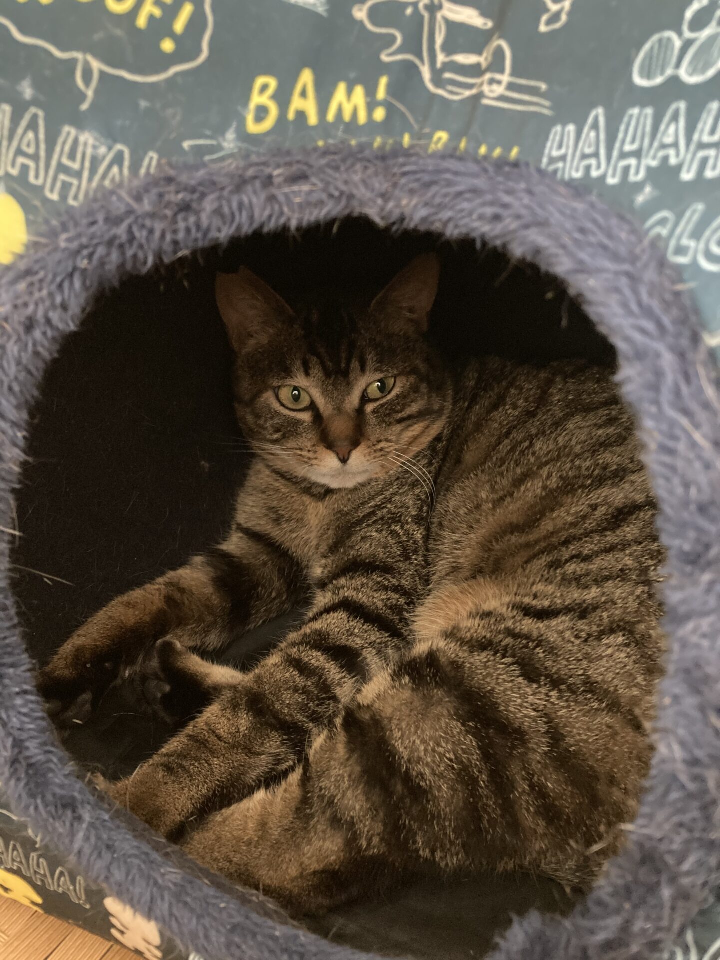 19B9E9B6-C69A-4E33-8D5F-7894EEBDC808