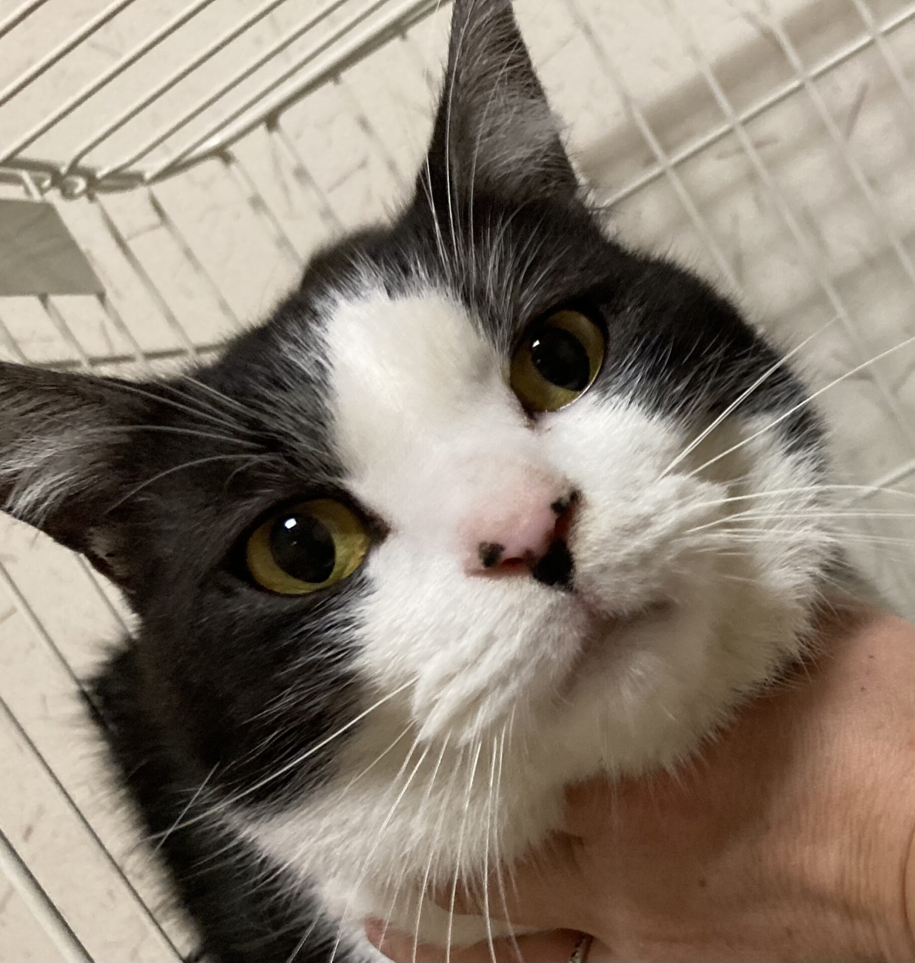 671742F5-74C0-43E6-B0A1-A8D35359FF53