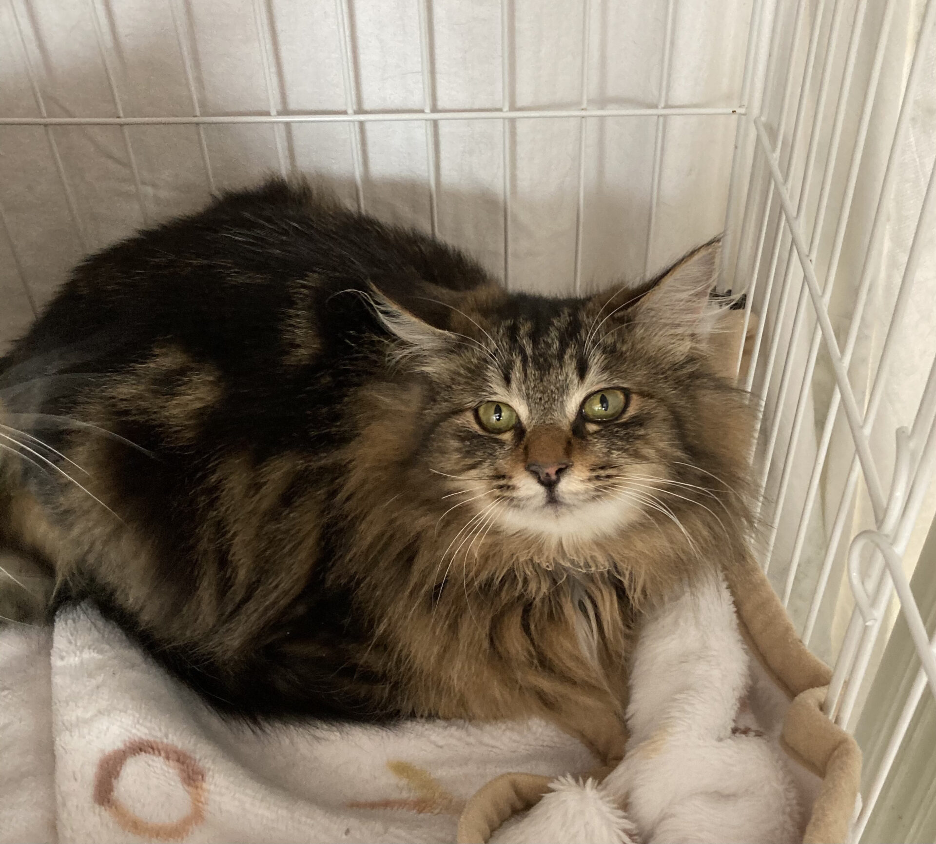 702CD24F-5312-4328-9553-EB38AC3EB1C9