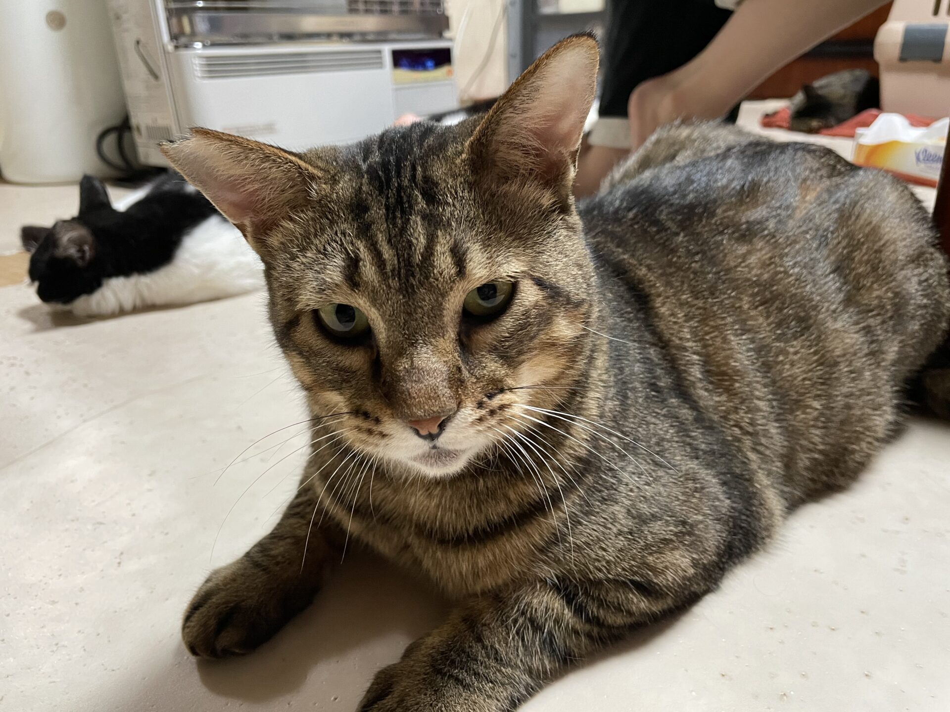 BDD0F5C4-473C-4839-BF3E-D97ABEFF617F