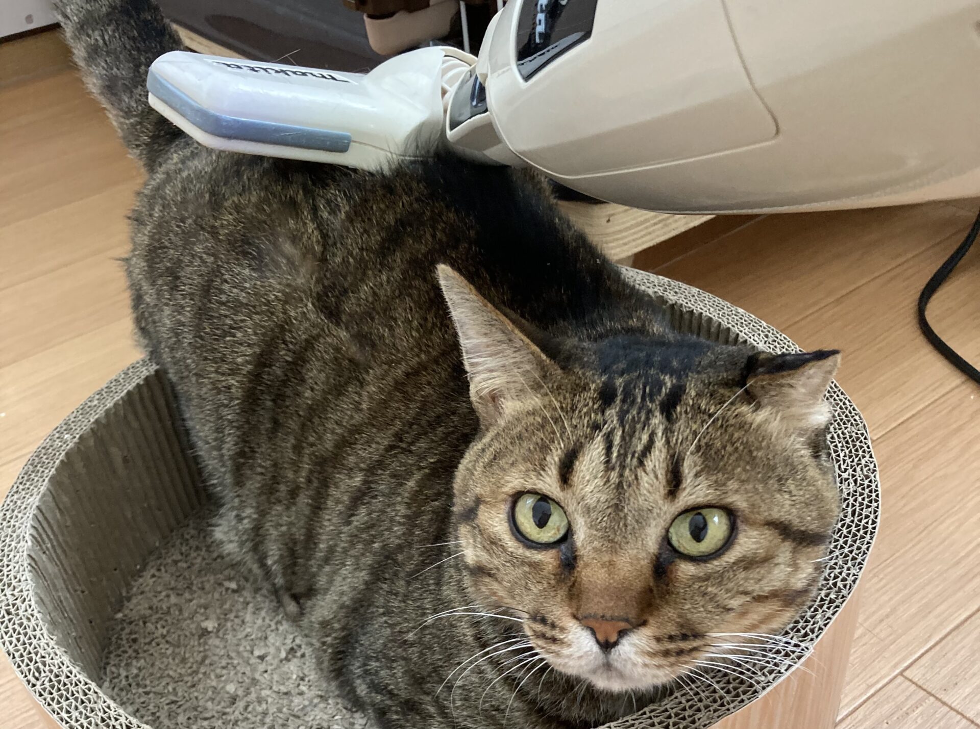 C15D98B4-CEE8-4487-B524-B9AFB0335996