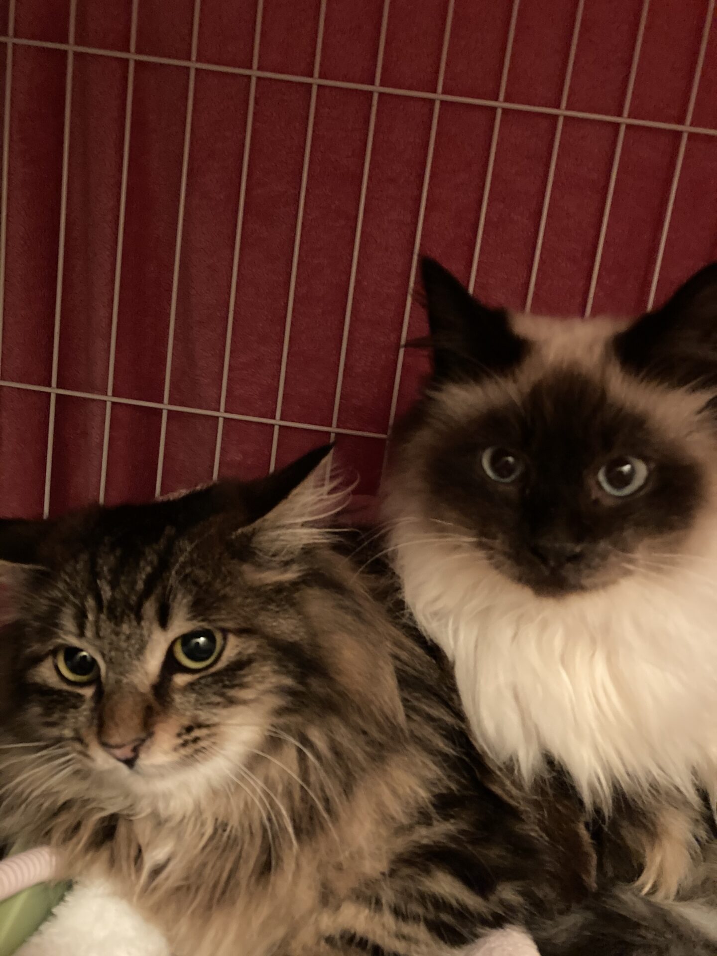 CB0F62CC-26B7-446B-834E-22751F7B0C05