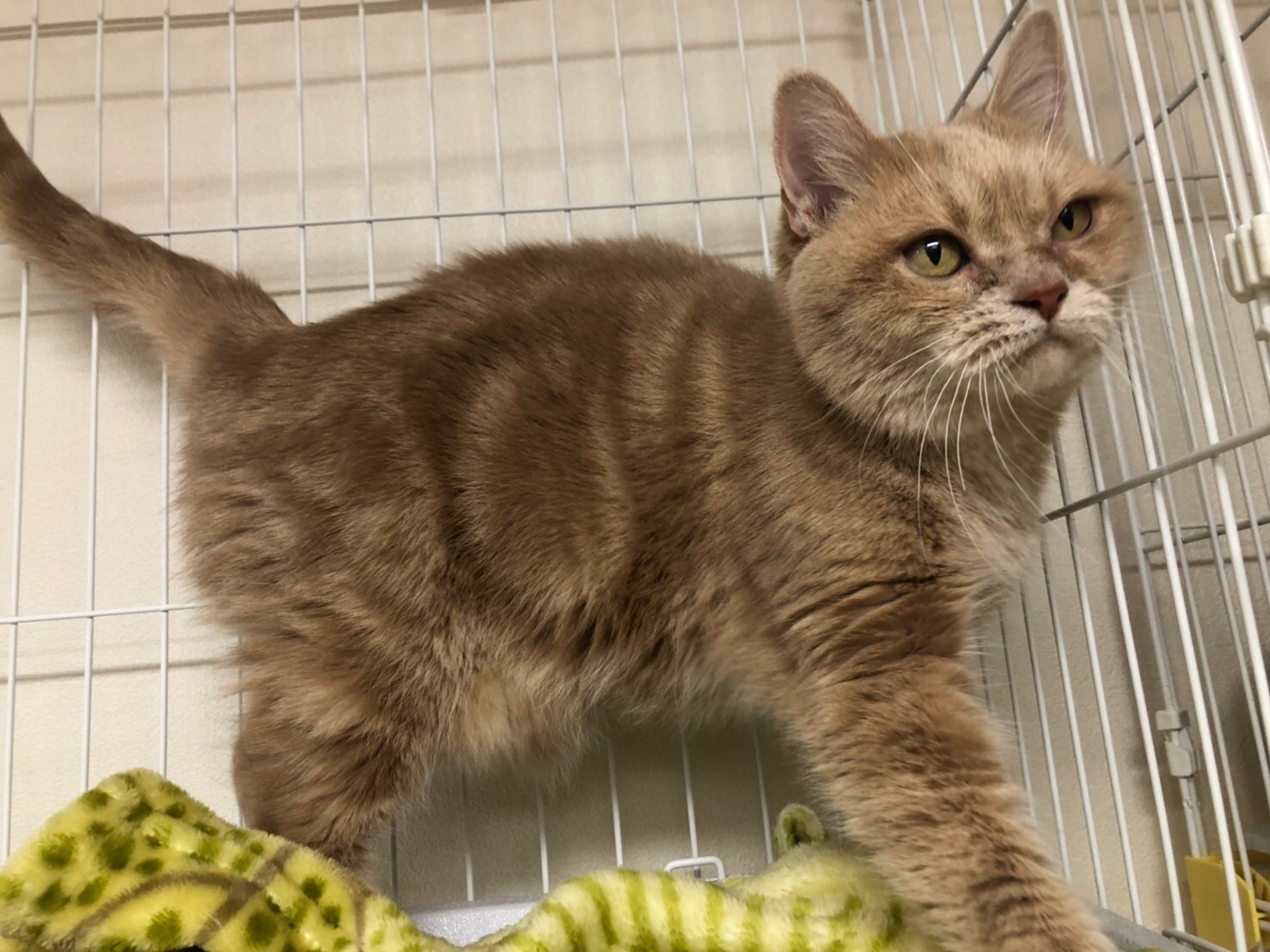 CF4AAE08-1242-4644-9BB4-F22C04B9982C