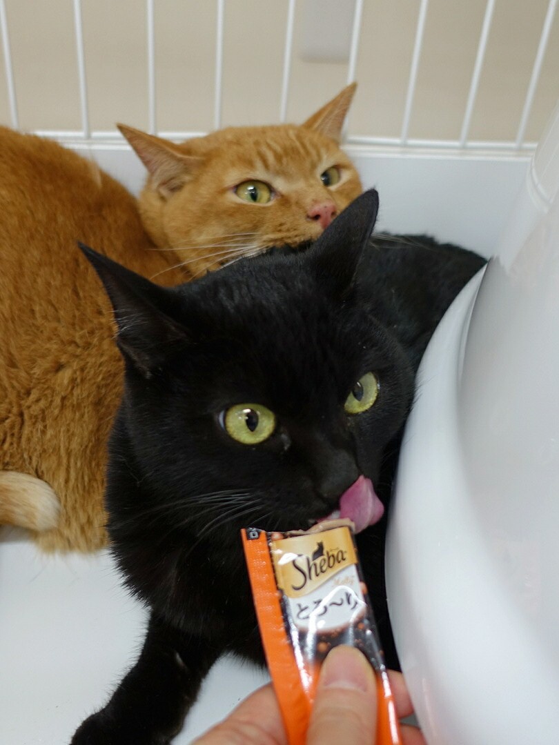 E3578A7F-E730-4D1F-B663-914CE6EB0484