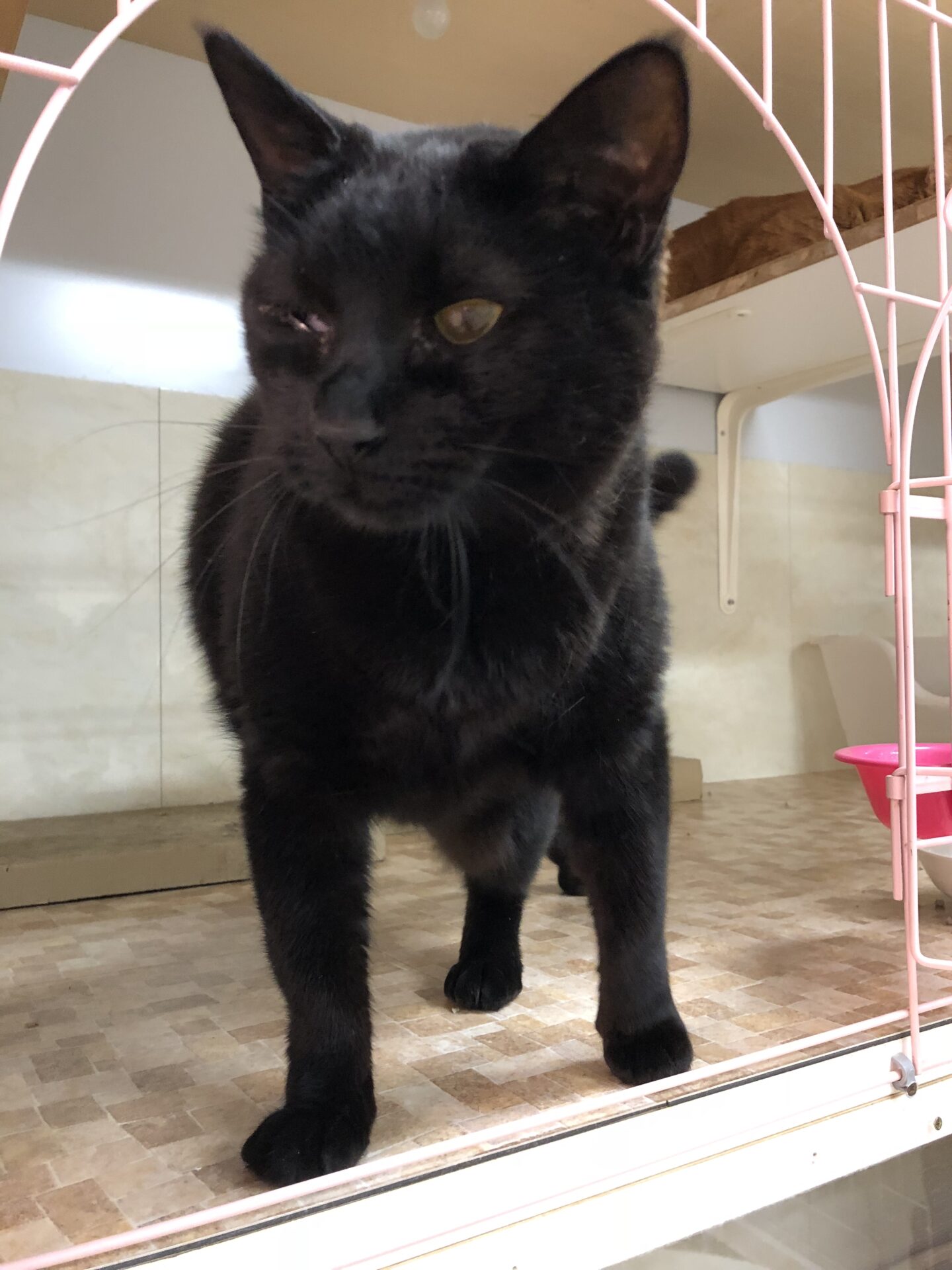 235DA1AC-448A-4E55-B031-8554909A754D