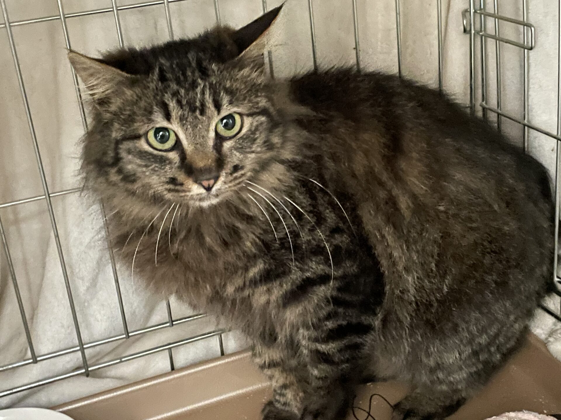 2950F3E1-95D7-42BD-9EAB-74E1D6E4C53E