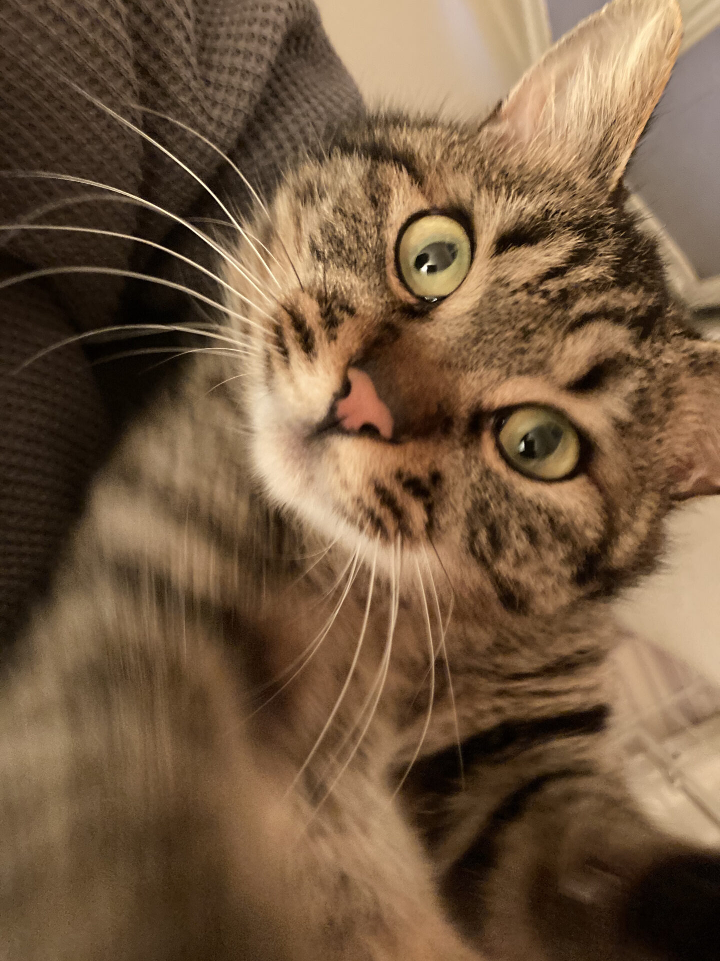 51D934D3-2F27-436C-AB0D-A46BB3489293