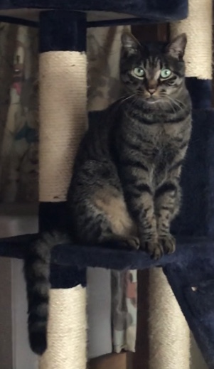 5787A85D-C89A-44B7-A7EF-0632E5B7E04C