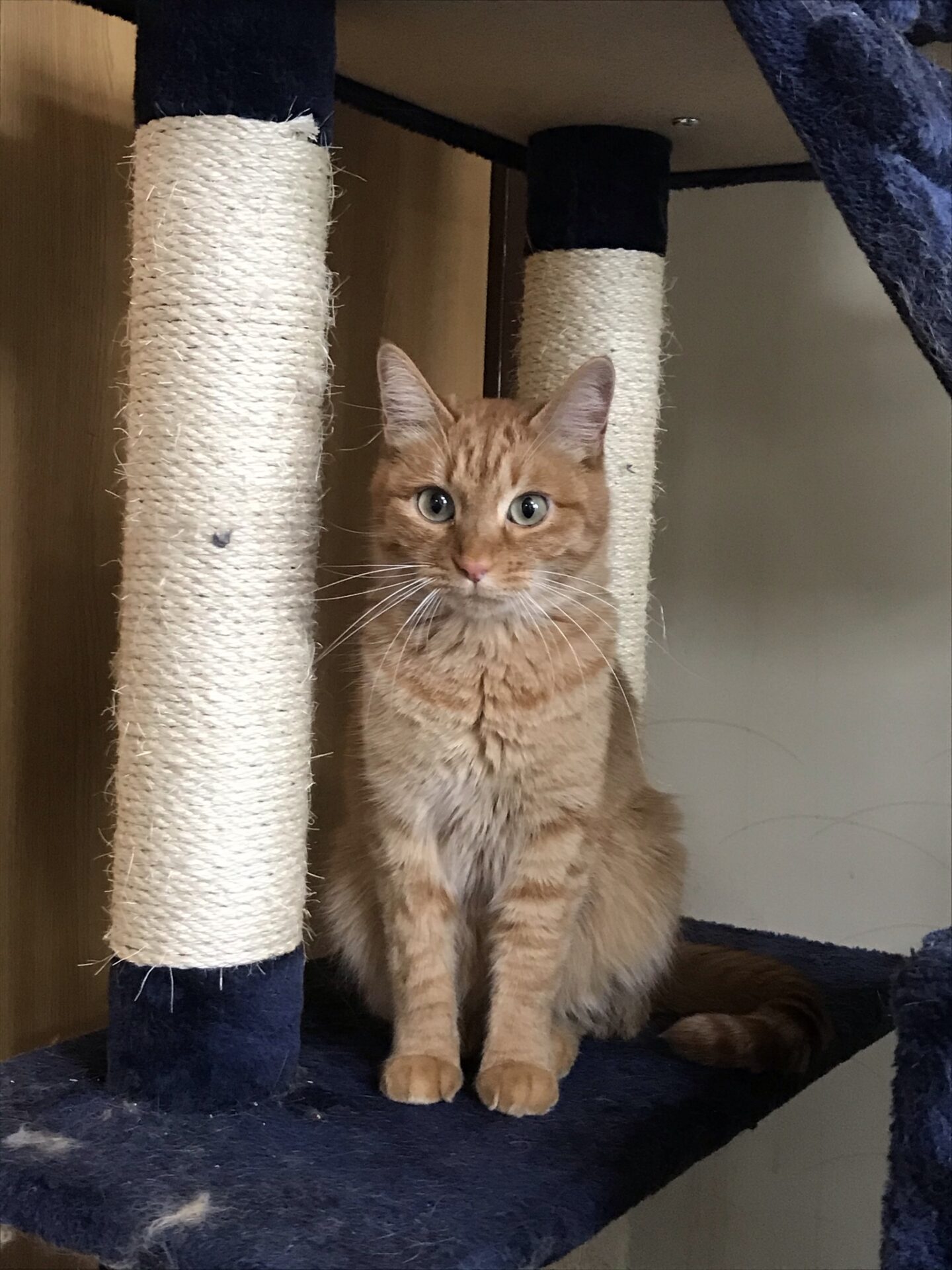 6181C017-0E7A-474A-9544-EC4B7DC1F1AB