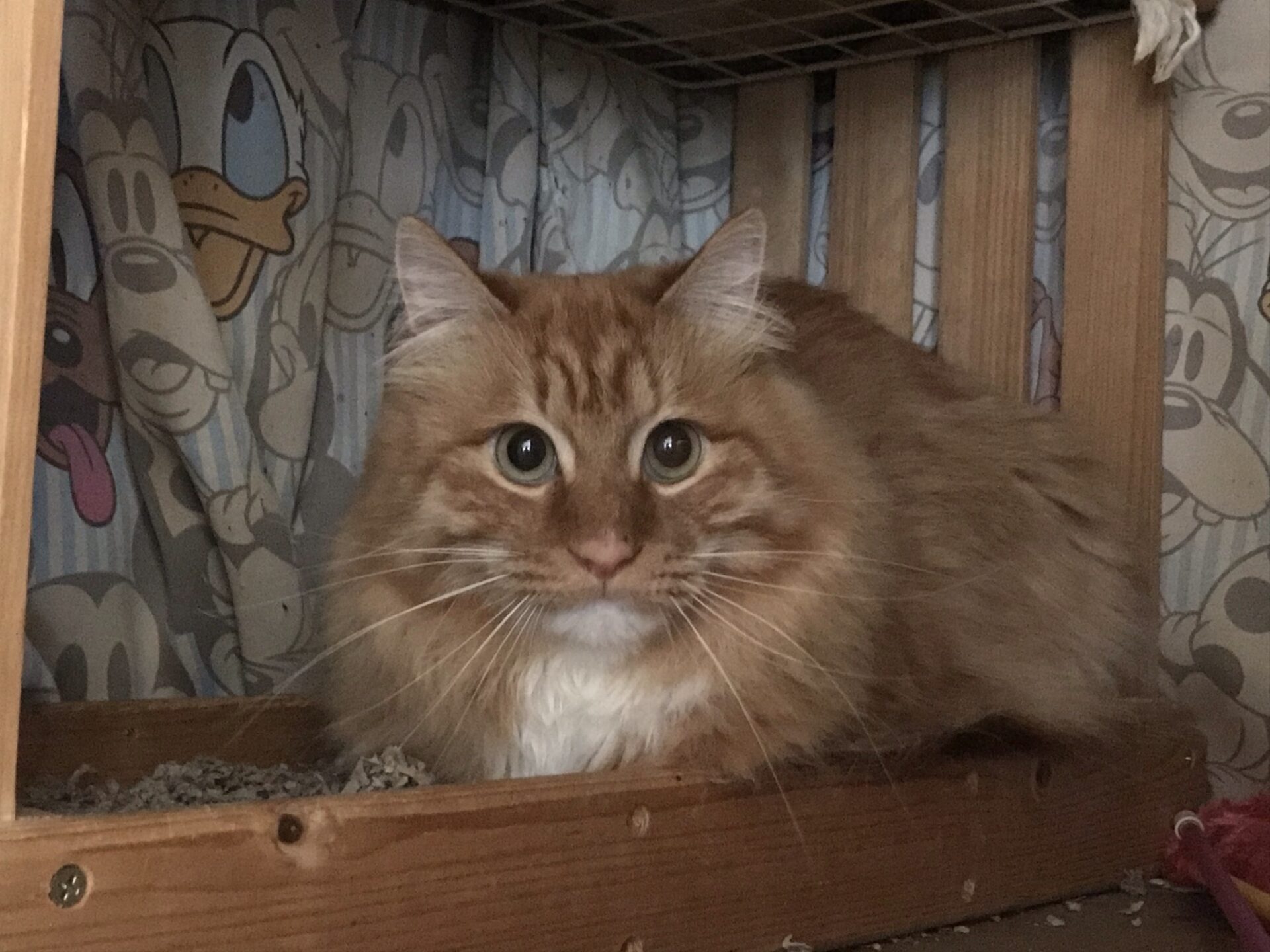 97DBFBE7-EE36-4BA7-A932-F9BA06B2D7CA