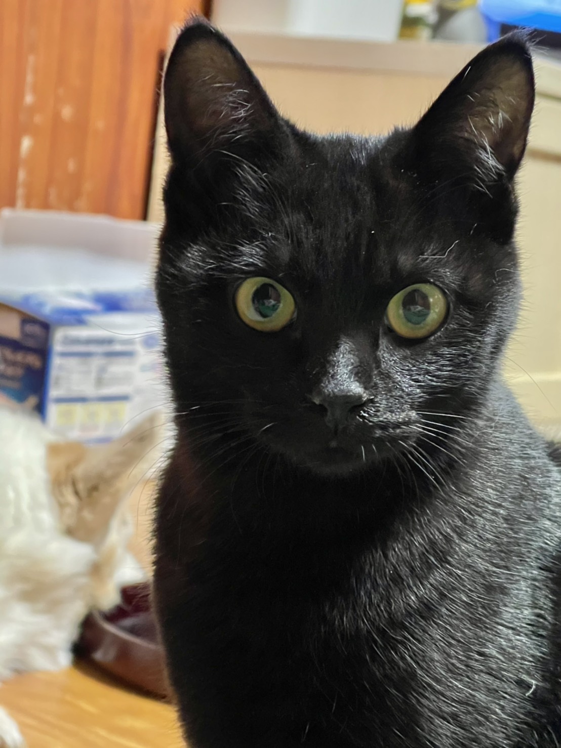 A67D5DD9-ACA9-4BAE-B5EE-9F5BA69F985E