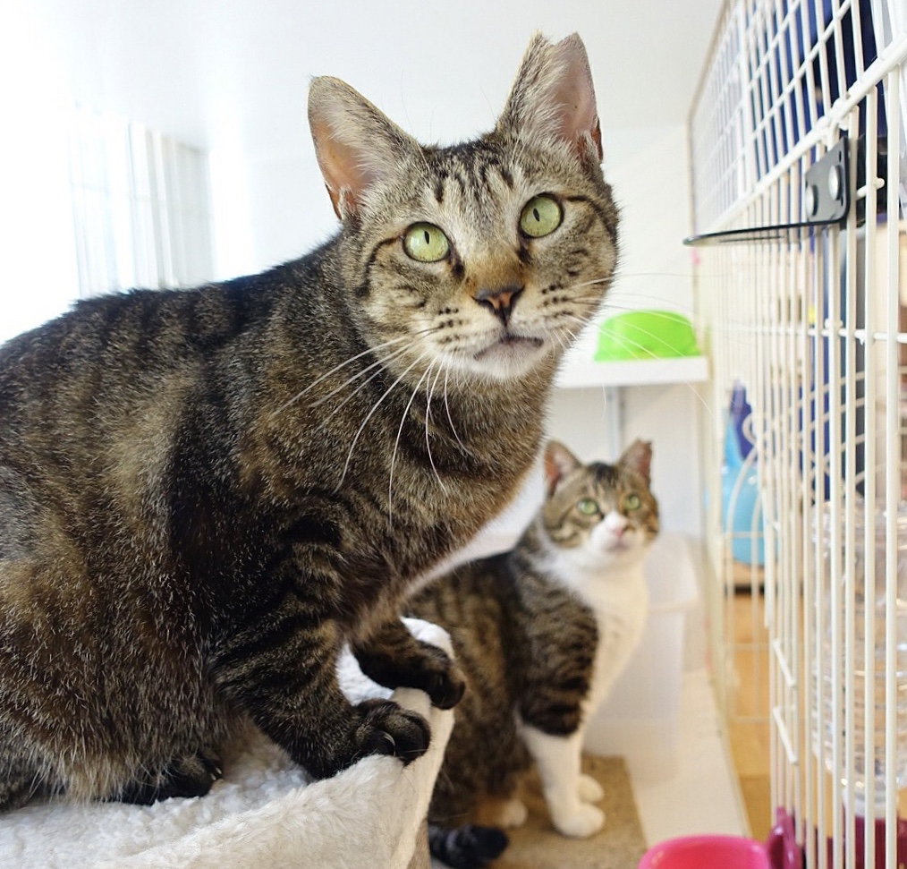 D5F2912A-6DE1-41B4-AA18-24058B328A91