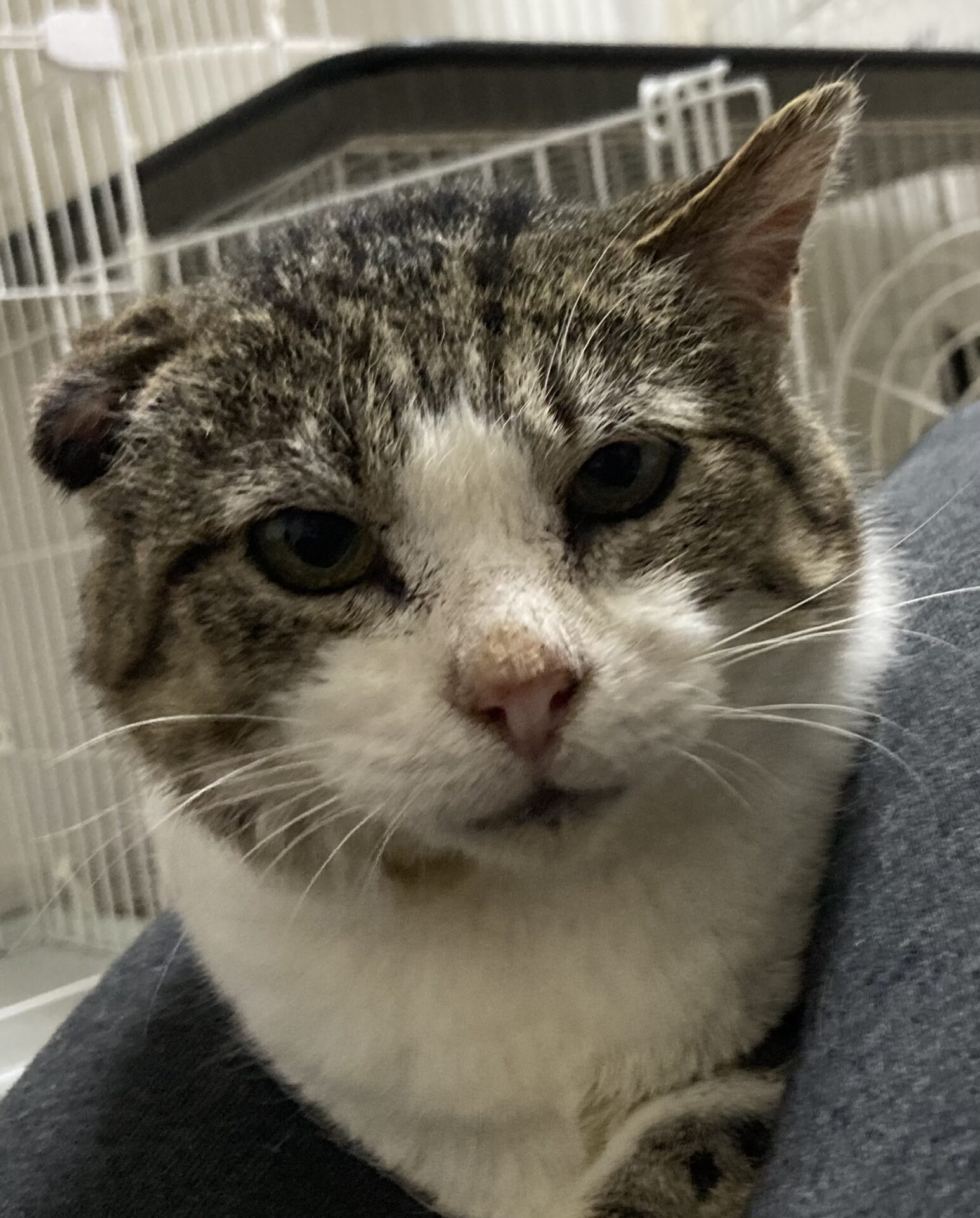 EA88C29D-5366-4109-8B57-7A73E1732950