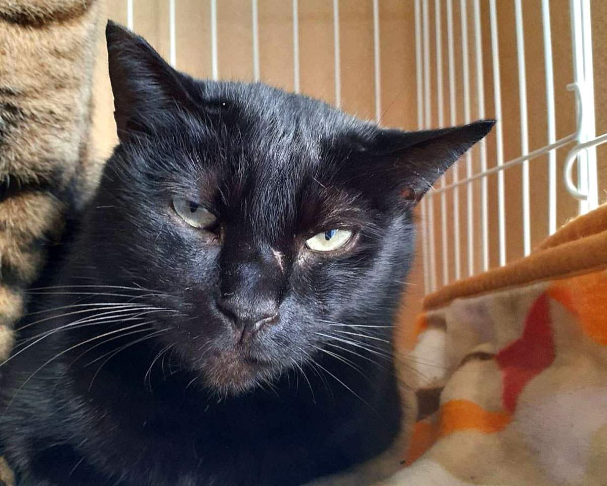 LINE_P20210302_00185590