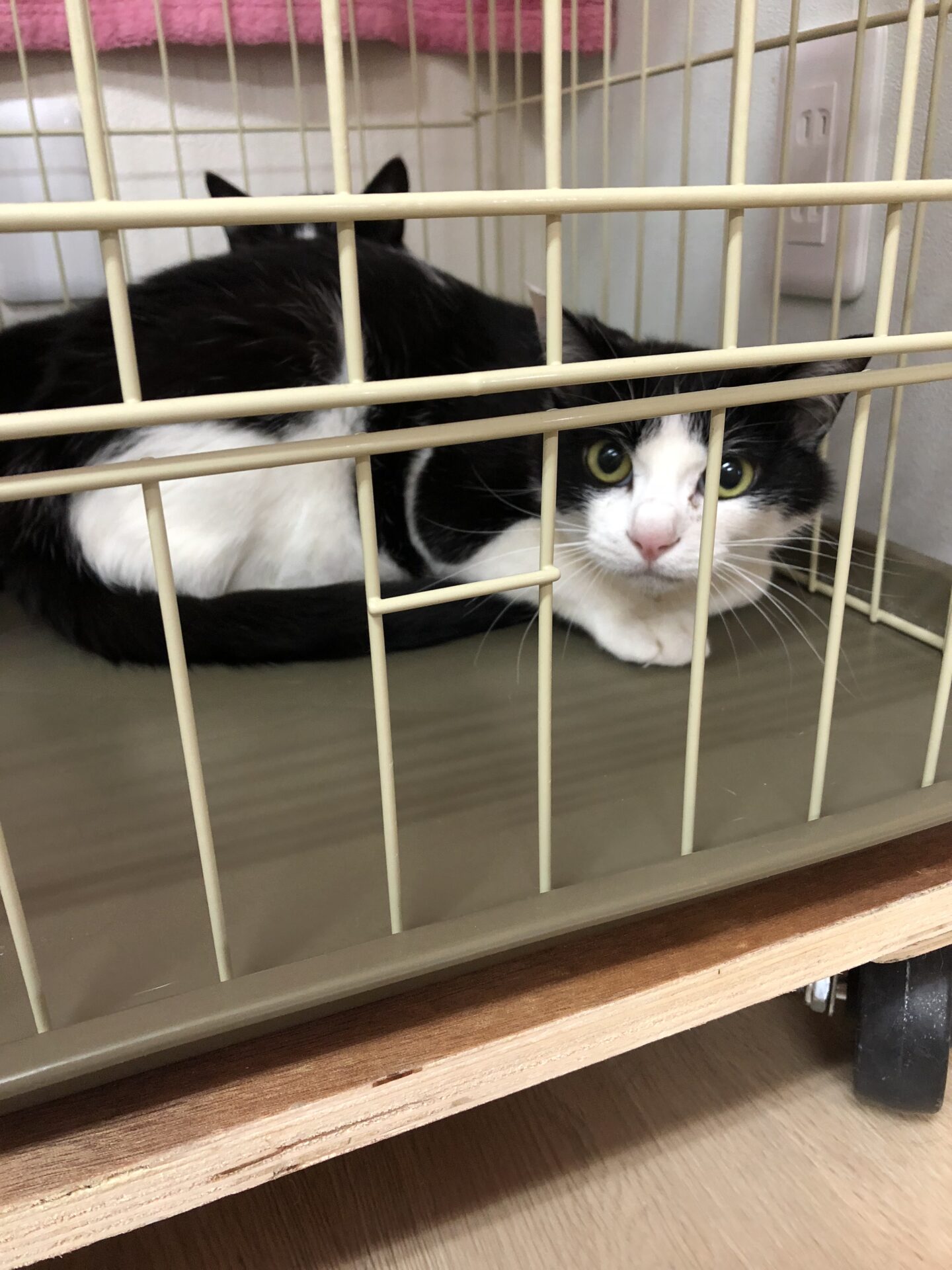 0265205A-1DAE-467F-9A3A-B67CEFE9323F