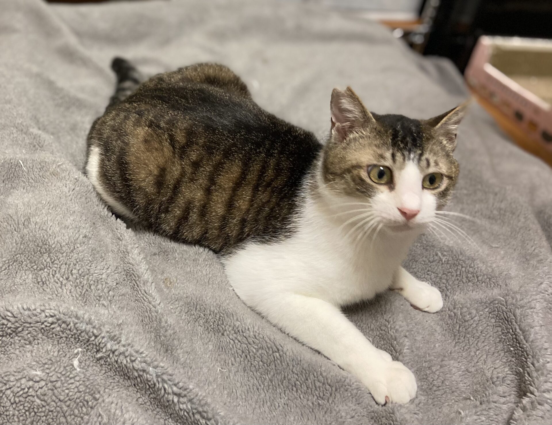 26F9464A-3FF6-4DE5-BFDF-84FF693A19B9