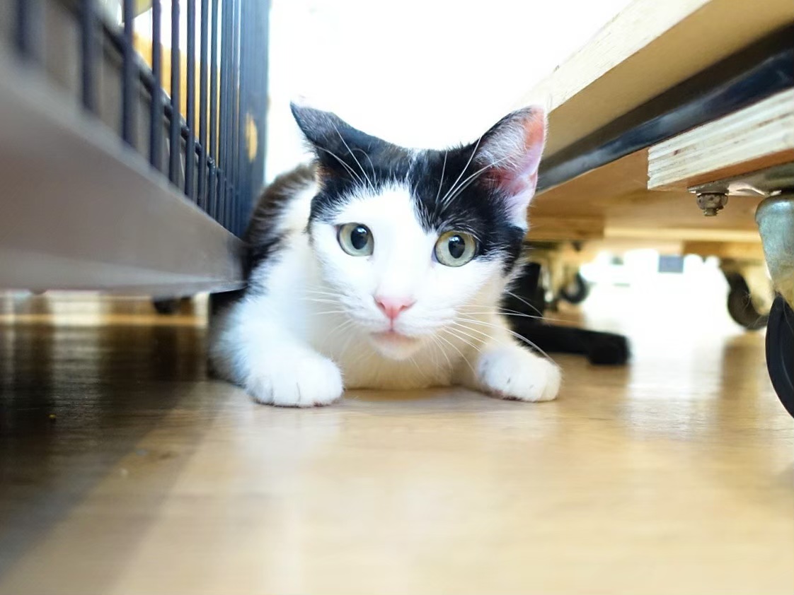 795214B0-F0A7-4FBC-A9D6-ADA558363B7F