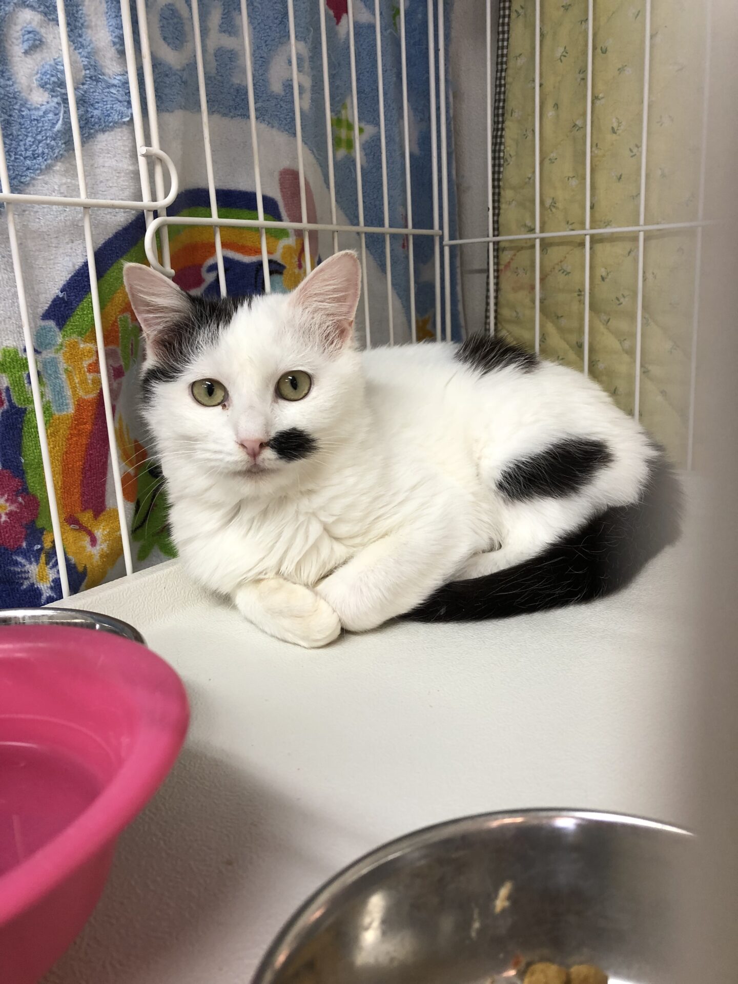 886EC8EC-4852-45E7-8955-C621B49D390B