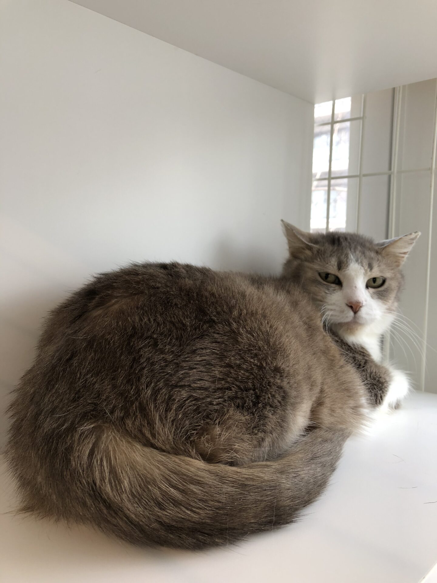 B09F8A6F-D59E-4472-84BB-E0ABC1AC708E