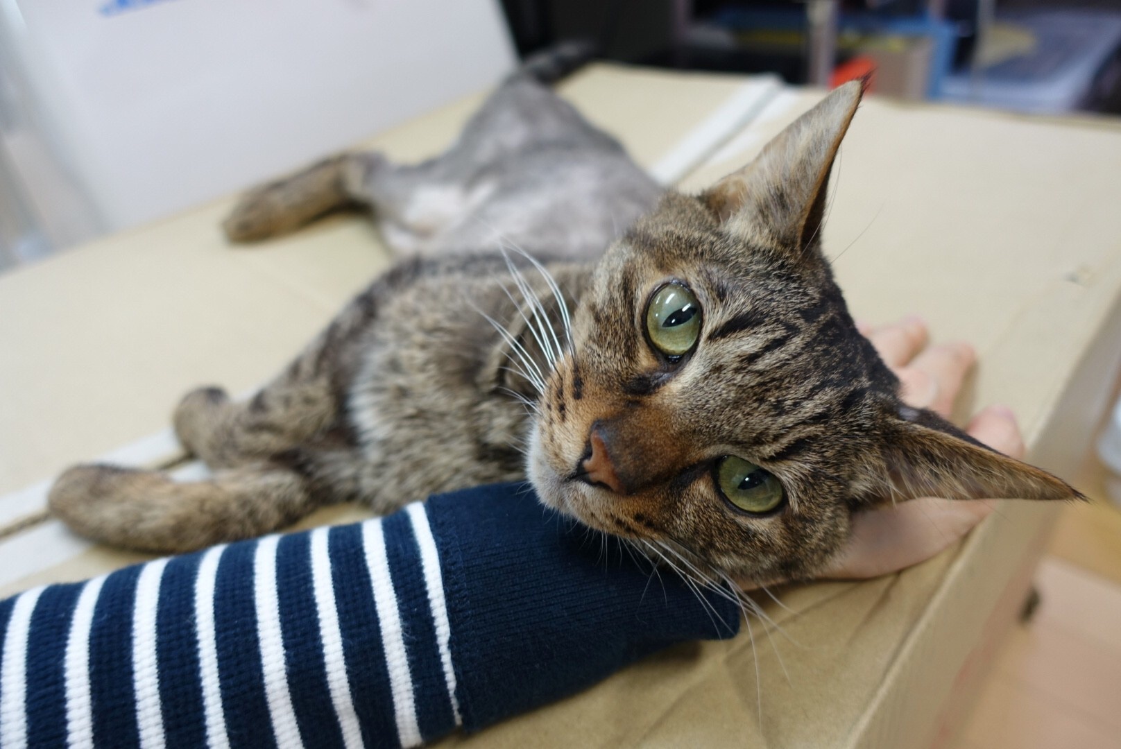 BDBCB4BE-8020-4435-BF1F-9A62CA091507