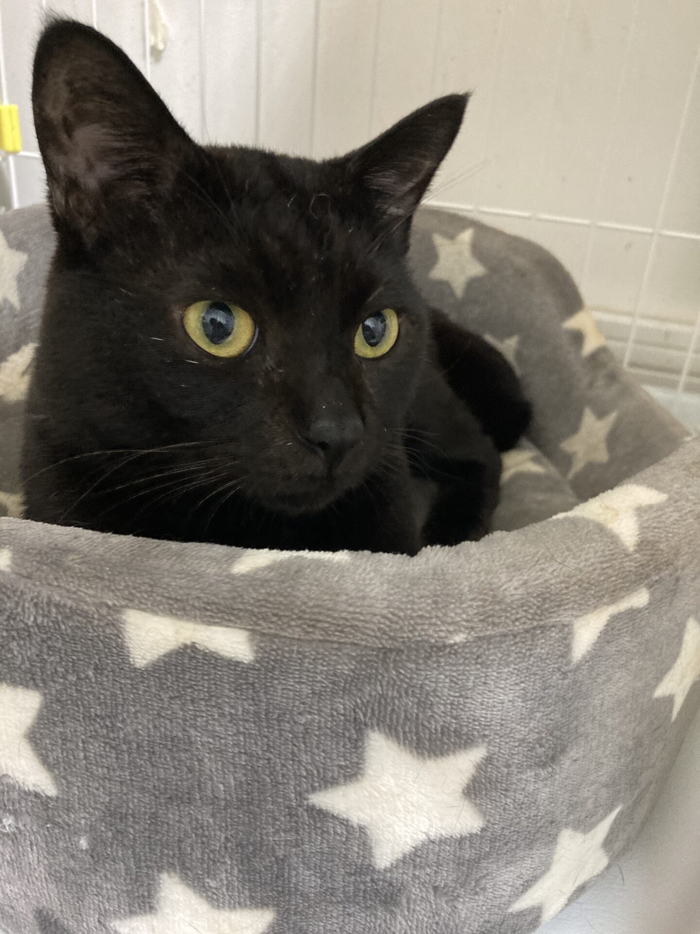 C7E370B9-A2A7-401F-919B-10B2782D7ADE