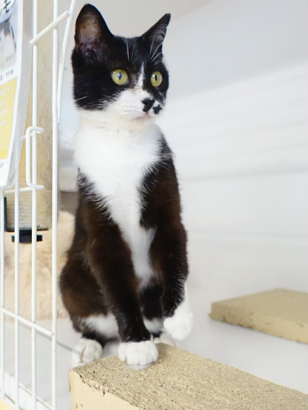 D02E9DB1-2FD8-4F52-8138-804B6C7ACD4E