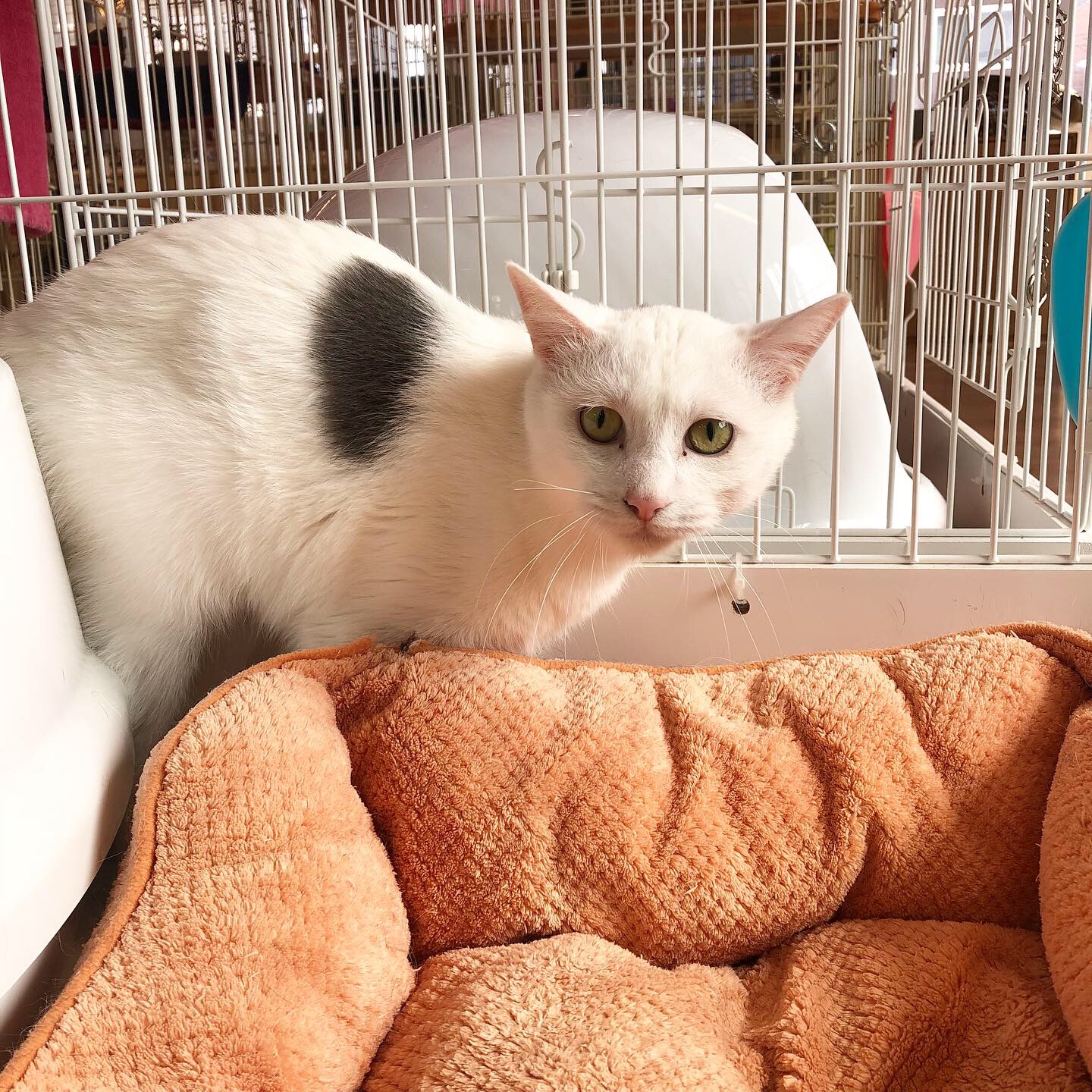 E713A66E-5240-46CB-91B6-552FE28E08EA