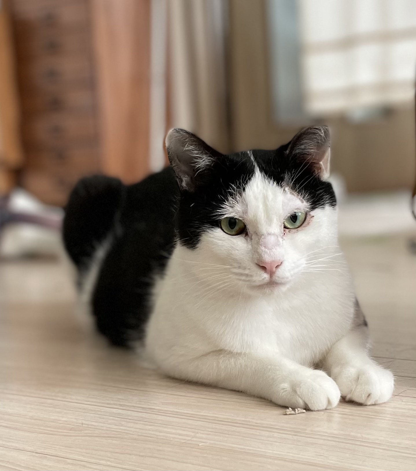 3EFDB285-8055-45AE-A8C7-A9658BEDBF10